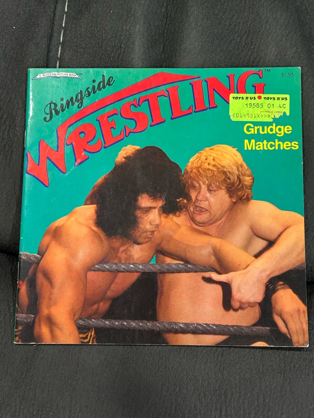 Ringside wrestling: Grudge matches - book!